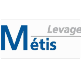 Logo METIS LEVAGE