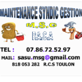 Logo MSG PACA