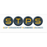 Logo STPS